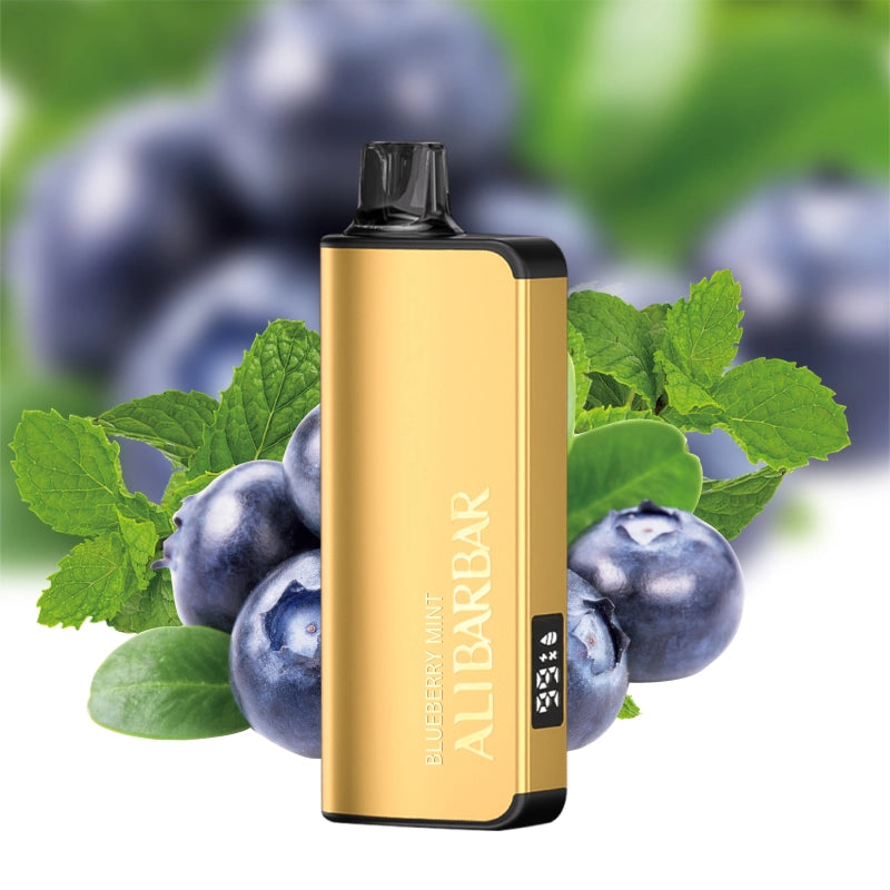Alibarbar Ingot 9000 E-cigarettes Disposable Vapes
